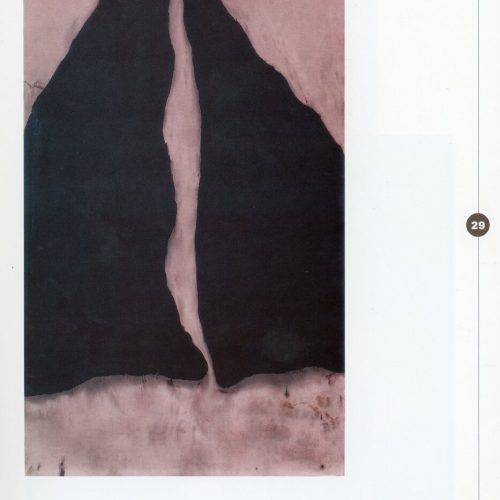 CAT 1995MUSEUNACIONALDEBELASARTESMIOLO29 091023 –