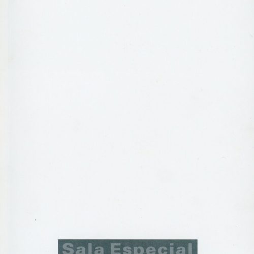 CAT 1995MUSEUNACIONALDEBELASARTESMIOLO7 091023 (2)