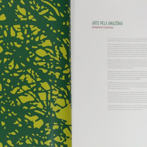 CAT 2008ARTEAMAZONIA7 111223