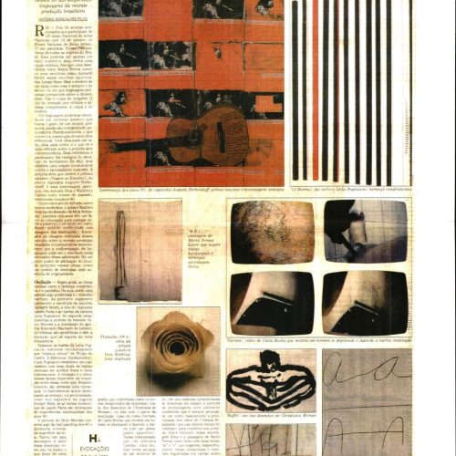 GONÇALVES FILHO, Antonio “Salão exibe reflexos da arte contemporânea. Com obras de 36 artistas, mostra no Rio uniformiza linguagens da recente produção brasileira”, O Estado de São Paulo, São Paulo, SP, 15 dez. 1995. Caderno 2, D6