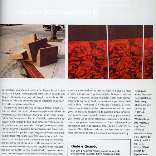 AMARANTE, Leonor "Tudo se transforma. Um grupo de brasileiros e britânicos subverte a natureza-morta, um dos gêneros mais tradicionais da história da arte", Bravo! ago/nov 2004, pp.52-53