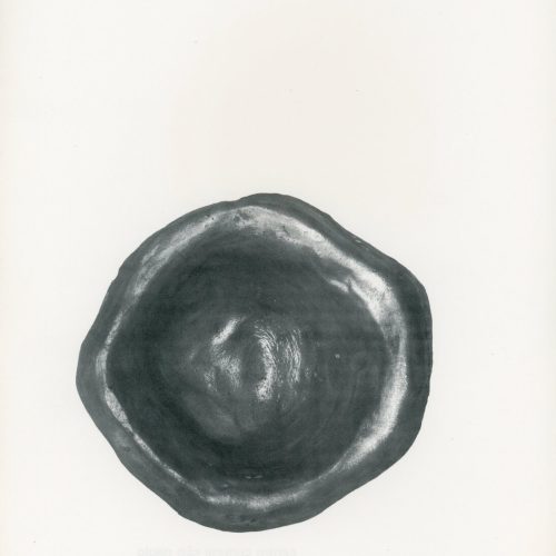 Cristina Rogozinski. Mostra Selecionados