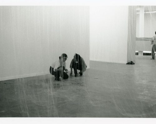 Assistência de curadoria da exposição de Mira Schendel na Sala Especial Mira Schendel na XXII Bienal Internacional de São Paulo