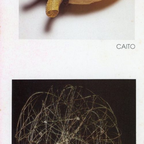 EXP 1995ENTREOBJETOSFOLDER2 051023