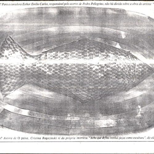 Foto obra O peixe, fonte e data não identificadas