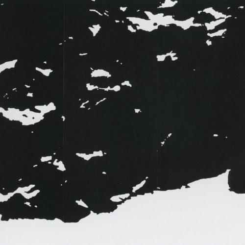 Xilogravura. Dimensões: 185 x 350 cm