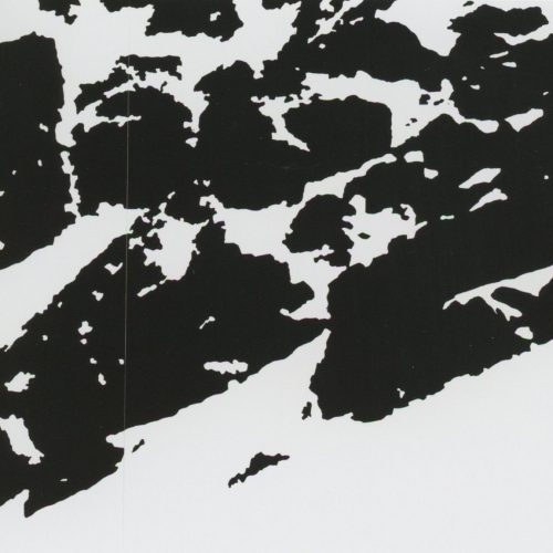 Xilogravura. Dimensões: 185 x 350 cm