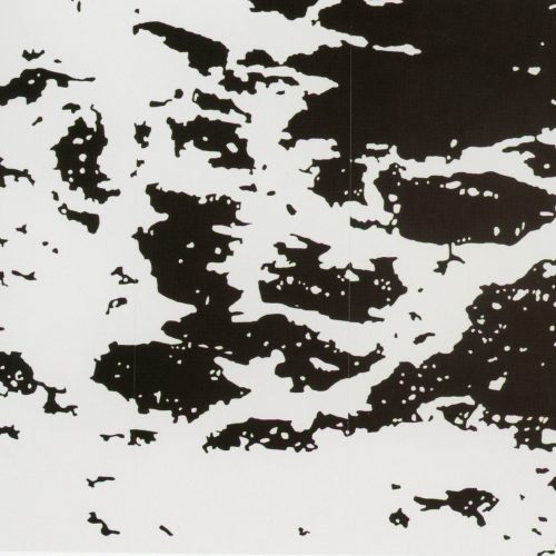Xilogravura. Dimensões: 185 x 350 cm